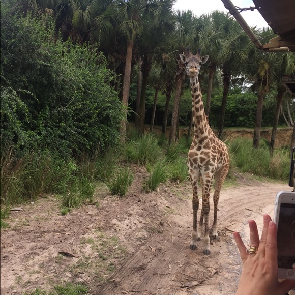 Meet your Posher, Jimmy - Picture 1 of 1